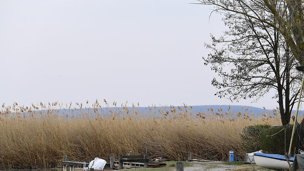 Wasserleiche Neusiedler See