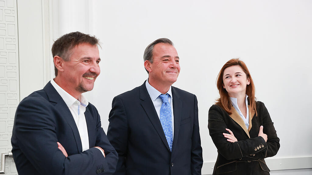 svazek zauner pewny hearing salzburger landesregierung