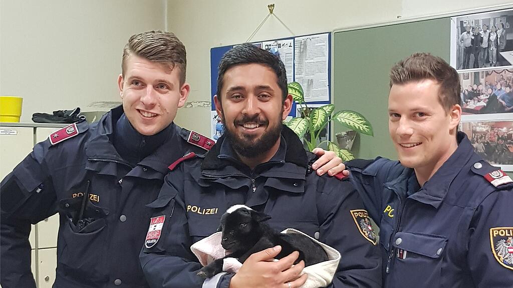 Polizei Wien, Ziege