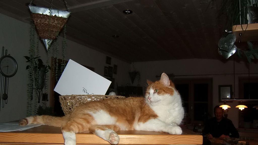 Bilder von Fridolin