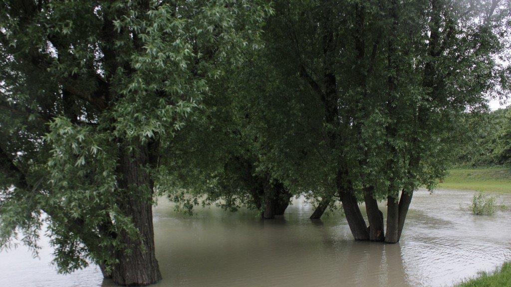 Hochwasser in Wien (Copa Cagrana)