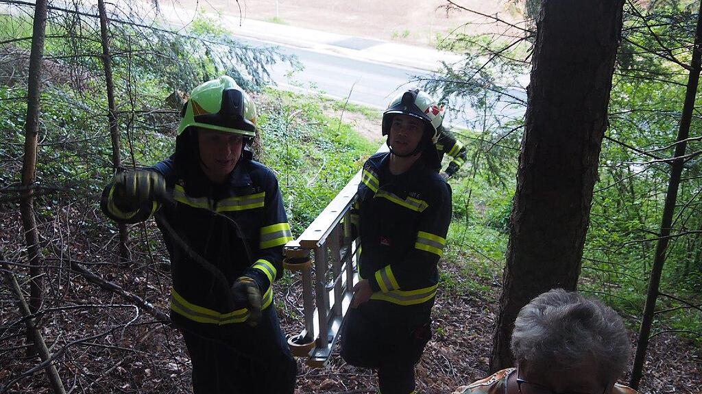 Katzenrettung Feuerwehr Mauerkirchen