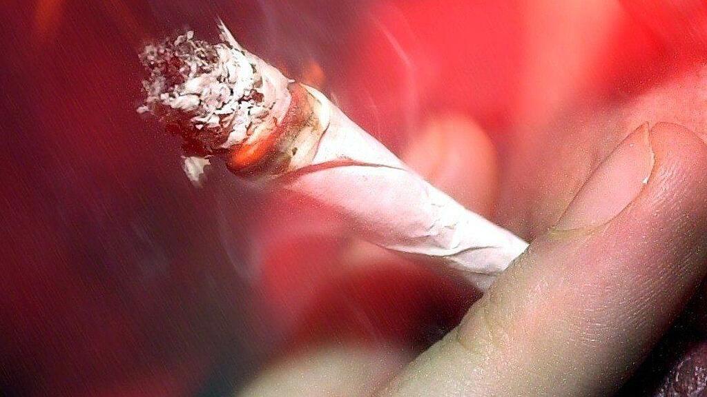Der Hanfverband ÖHV zählt österreichweit 800.000 Hanfkonsumenten.
