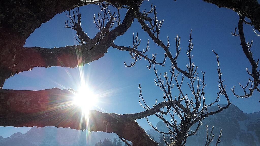 symb_Winter, symb_Wintersonne, symb_Sonne