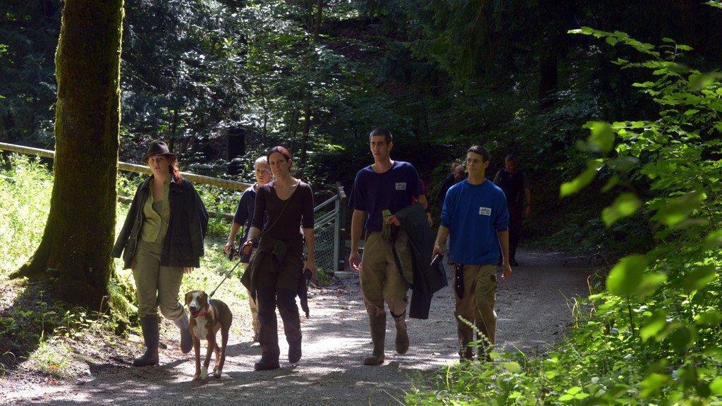 Suche nach Luchs geht weiter