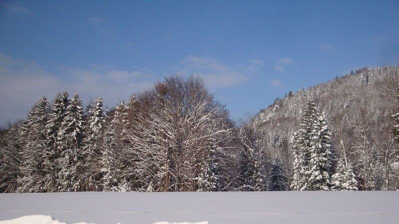 Winteridylle in Ebenau