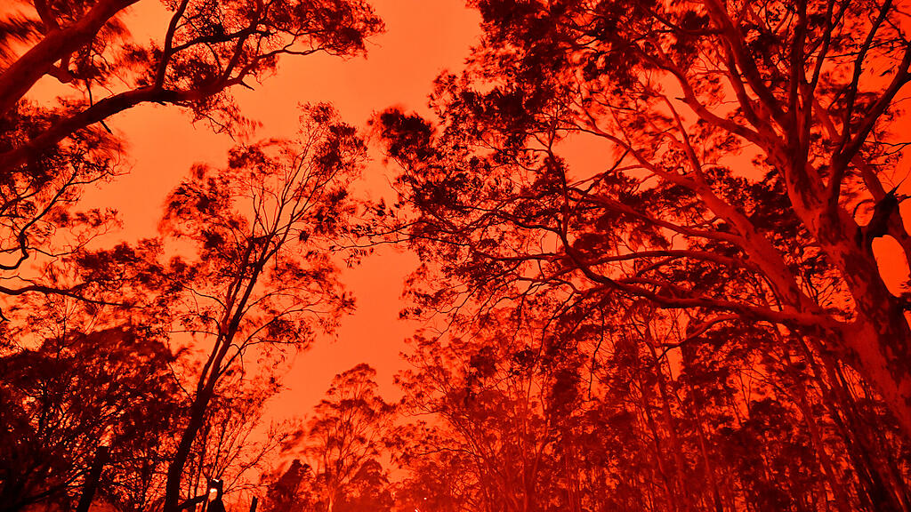Australien, Feuer, Br\u00e4nde