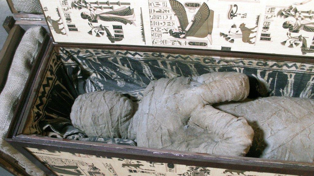 "Mumie" aus Diepholz entpuppt sich als Plastikskelett