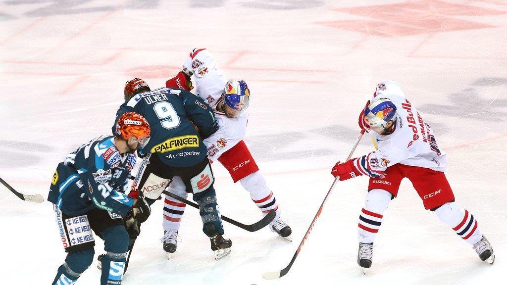 Red Bull Salzburg - Black Wings Linz