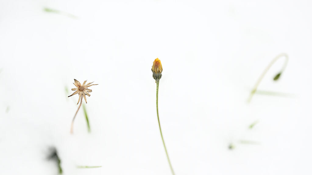 symb_schnee symb_winter symb_obertauern