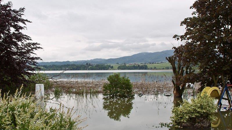 Wallersee trat über Ufer