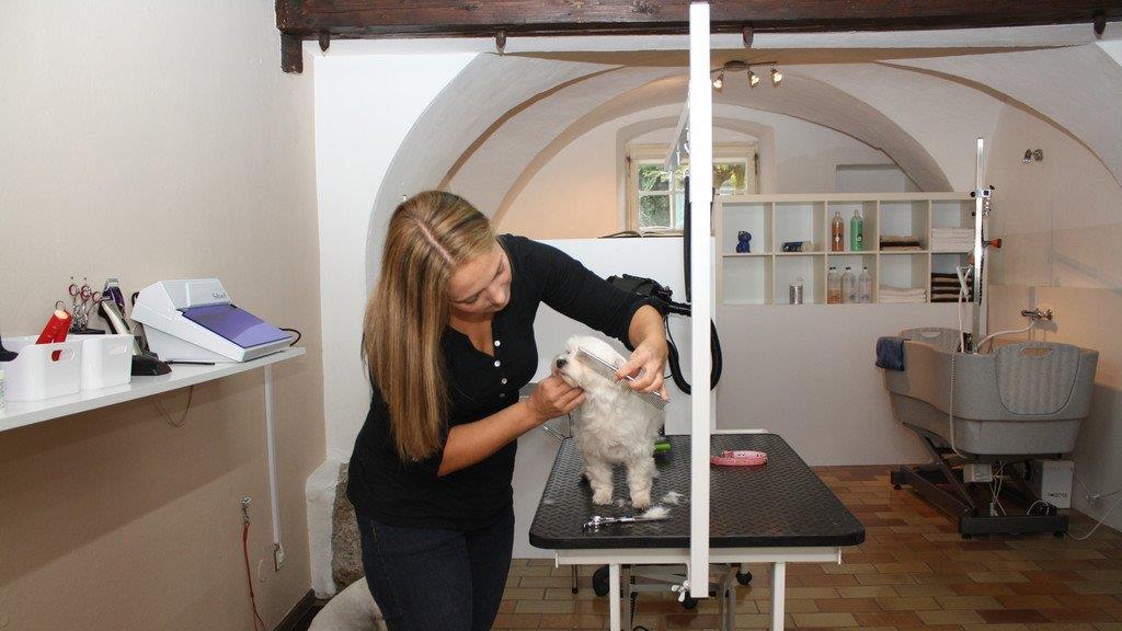 Die Hundefriseurin und ihr "Felldorado"