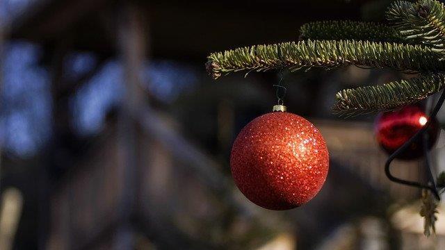 Warten aufs Christkind im Zoo