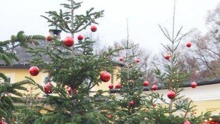 Christkindlmarkt in Hellbrunn