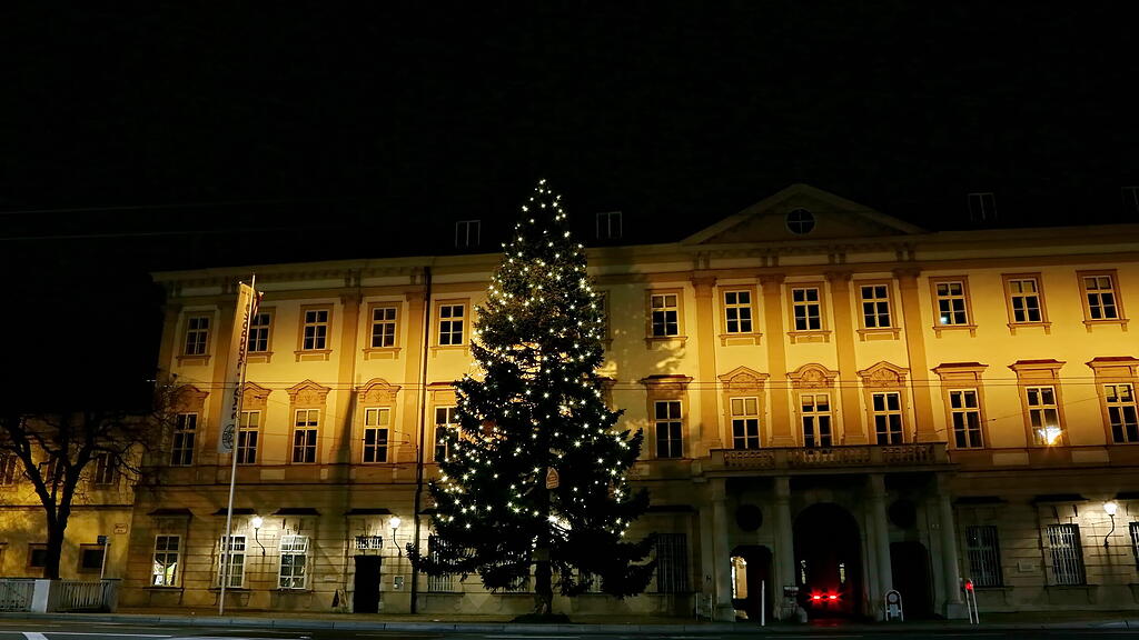 20201128_fmt_weinachtsbaum_KJ012.JPG