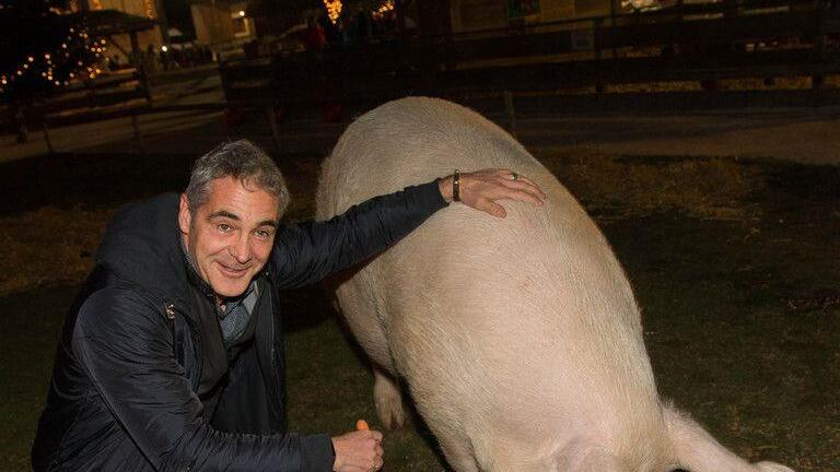 Weihnachtsmarkt-Eröffnung auf Gut Aiderbichl