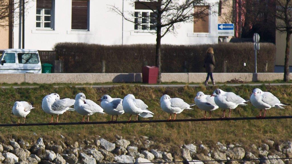 Frühling in Salzburg