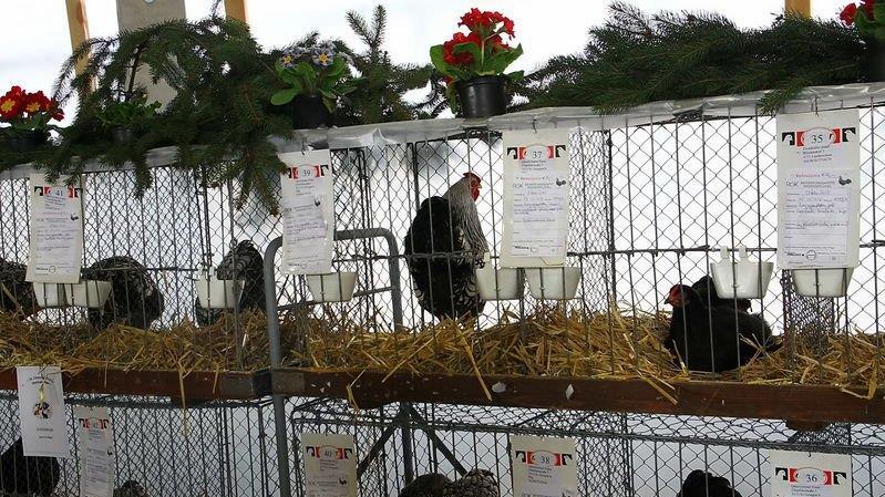 Bilder der Ausstellung