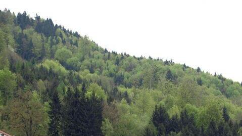 Frühling in Oberösterreich
