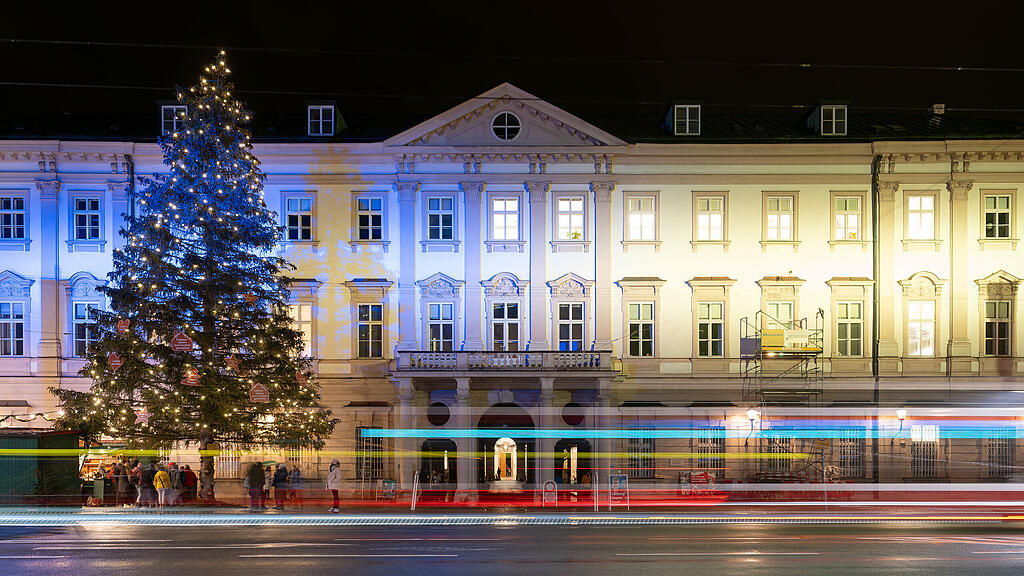 Mirabell_Christbaum
