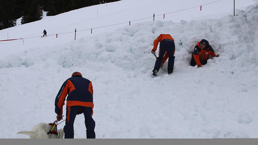 Lawinenhunde Bergrettung Training