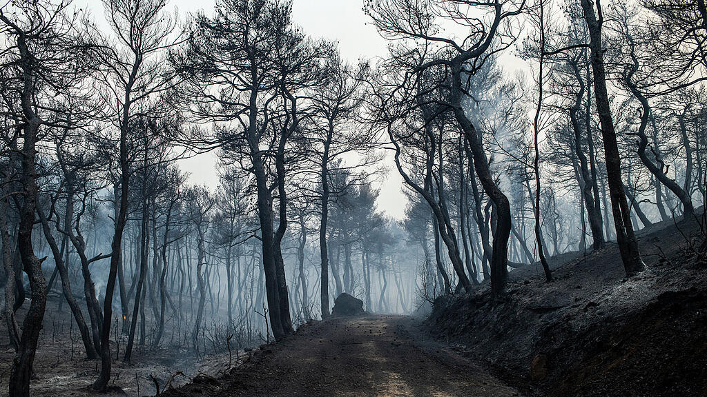 Feuer auf griechischer Insel