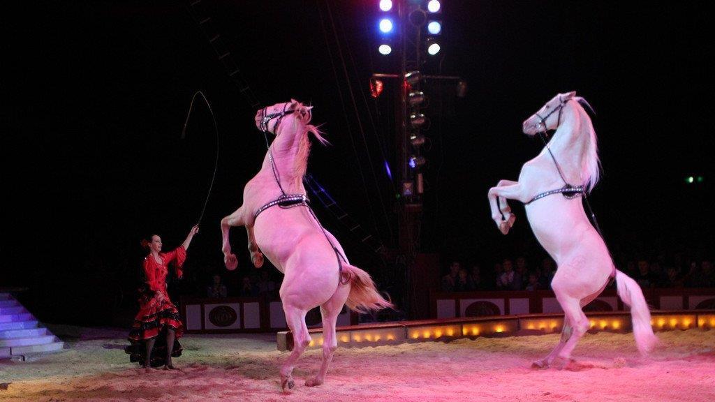 Circus Krone in Traunstein