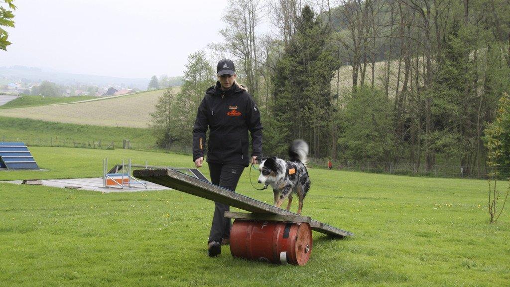 Tag der Rettungshunde