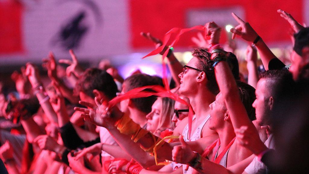 Electric Love Festival 2016: Tag 1, II