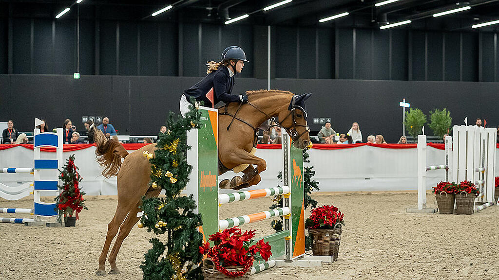Amadeus Horse Indoors 2023
