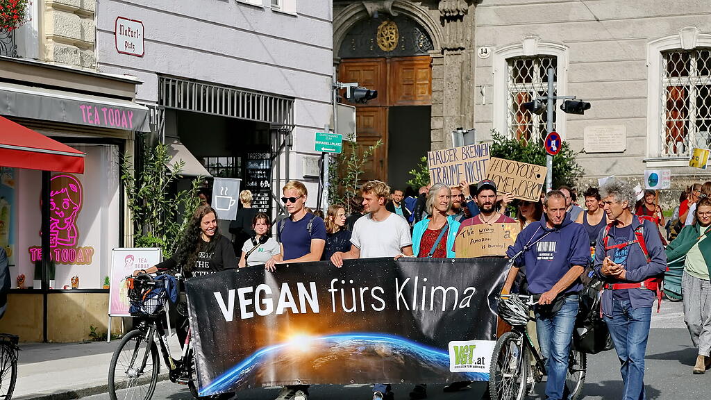 Klimastreik in Salzburg I