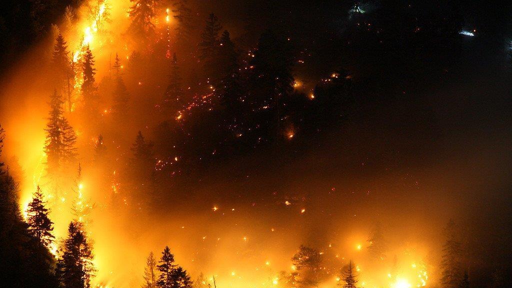 Waldbrand am Thumsee, III