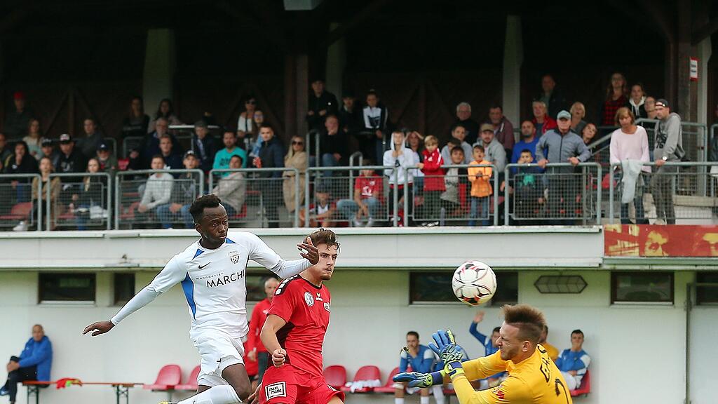 Anif, Grödig, Regionalliga, Milos Savic, Florian Schöberl