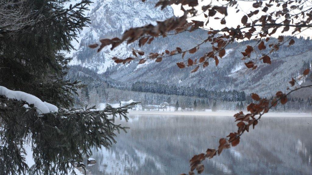Die Natur genießen