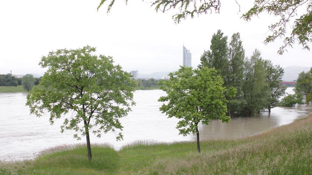 Hochwasser in Wien (Copa Cagrana)