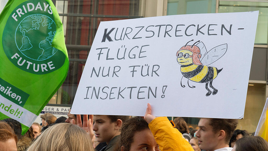 Klimastreik, Fridays for Future