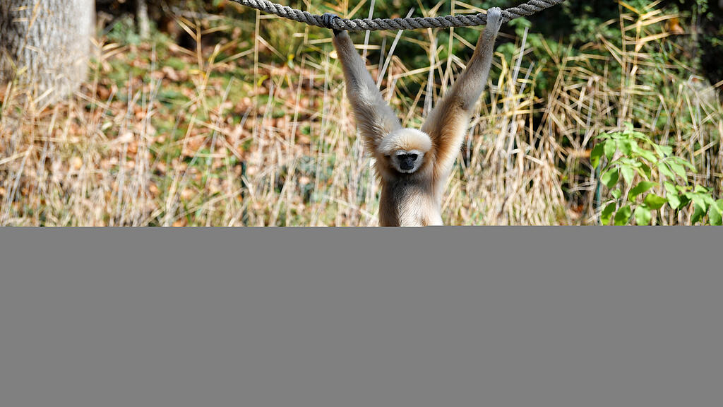 Zoo Salzburg