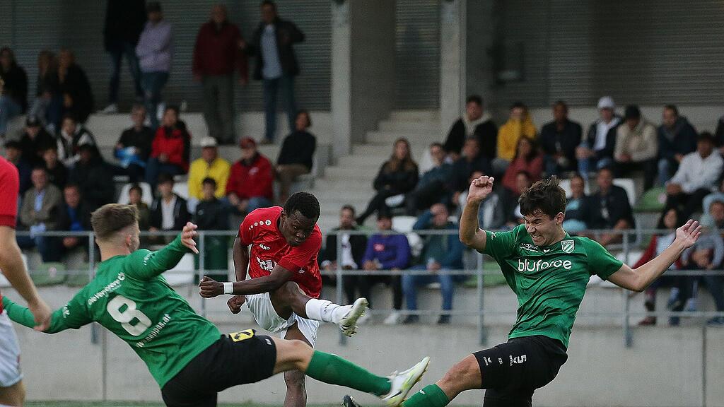 Wals-Gr\u00fcnau - Seekirchen