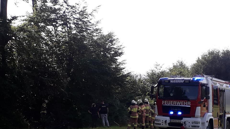 Brand Hochstand Nussdorf