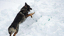image010.jpg