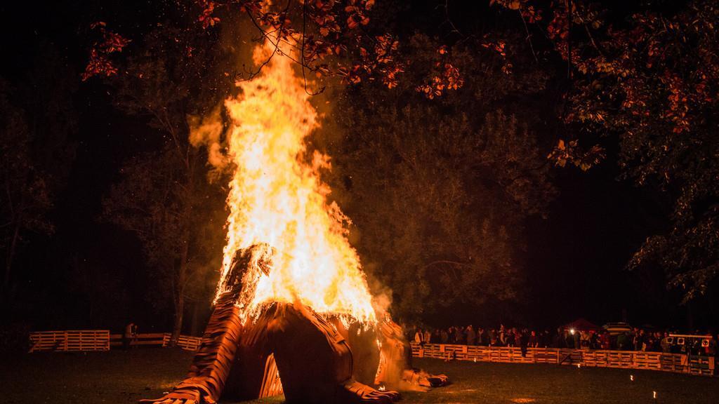 Burning Animal II