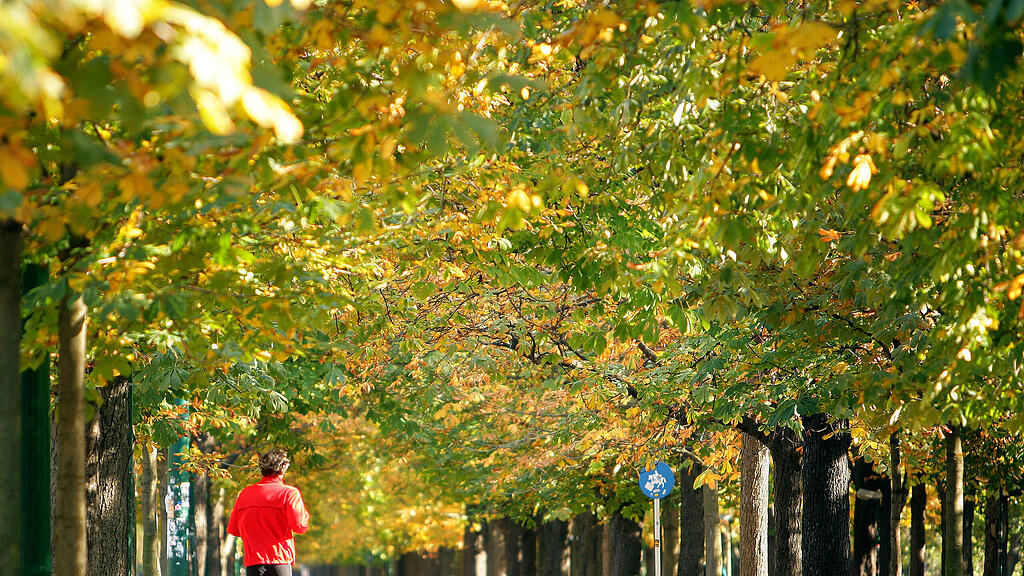 Jogger