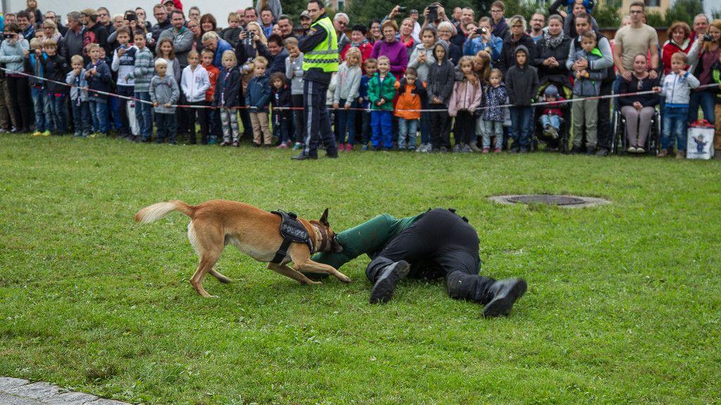 Tag der Polizei III