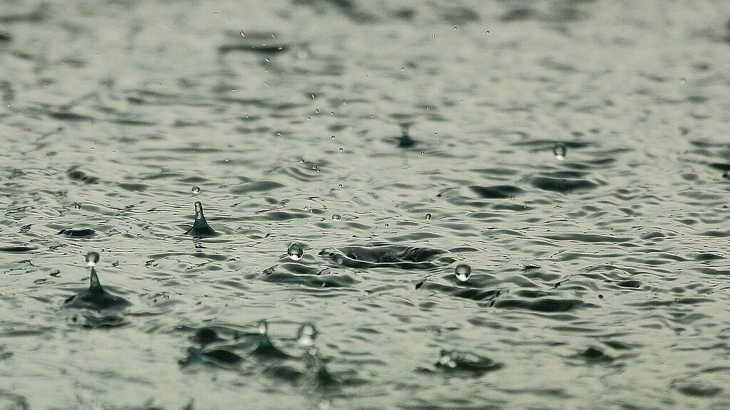 symb_regen