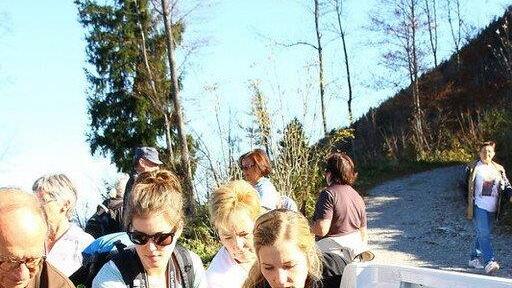 Charity-Walk am Gaisberg
