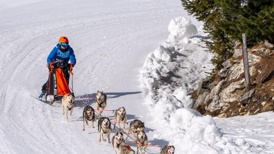 Schlittenhunde-WM in Sportgastein, Samstag