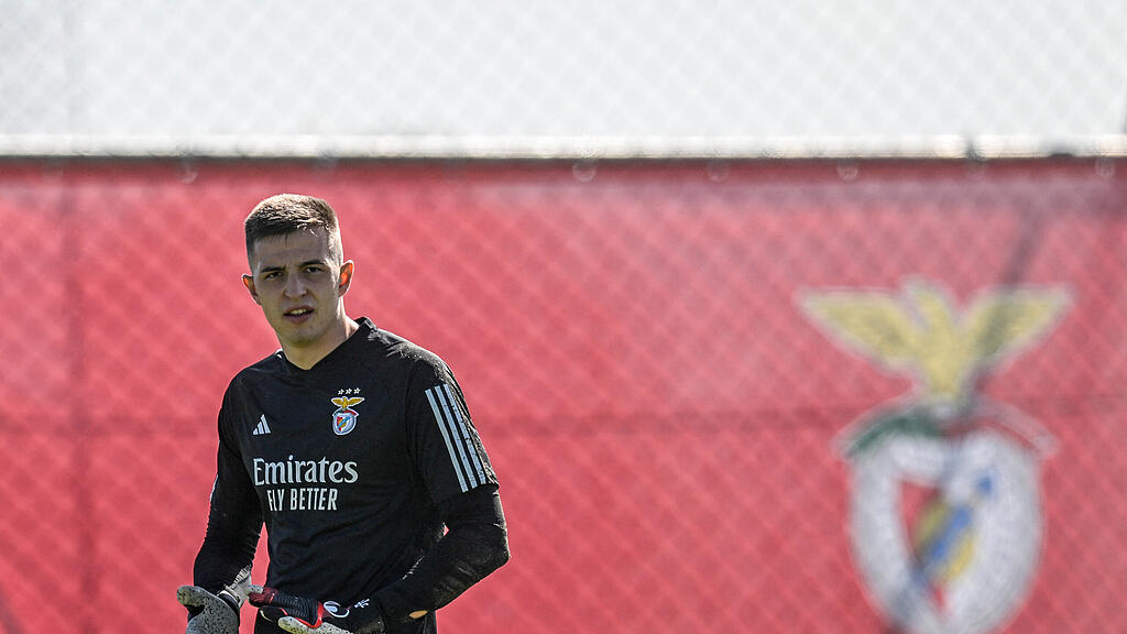 Roger Schmidt, Benfica Lissabon