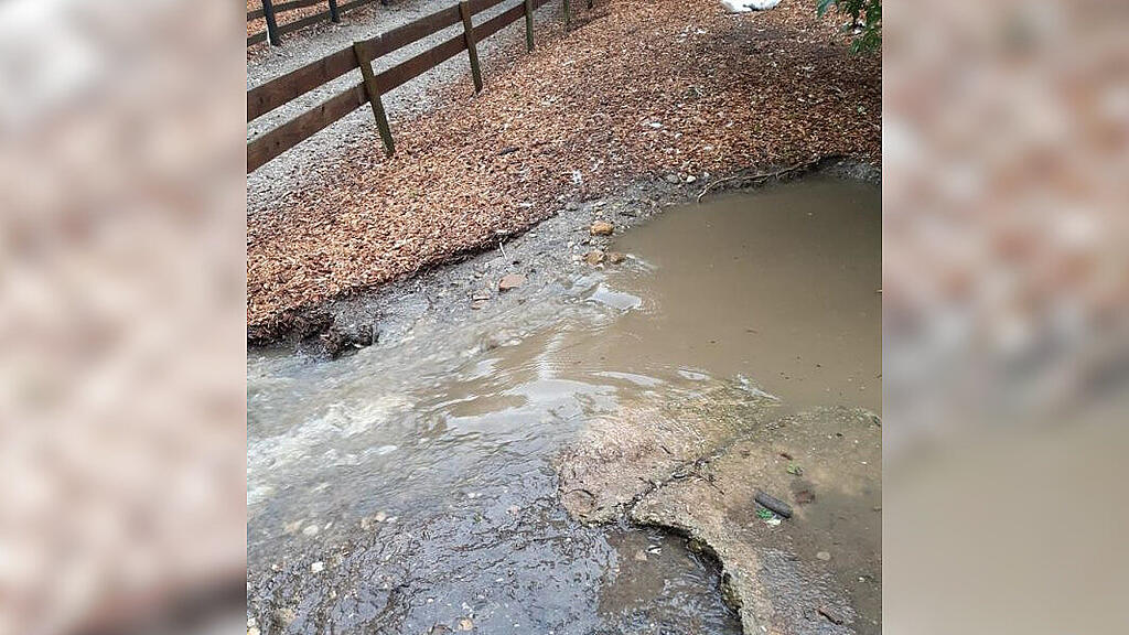 Pfotenhilfe Hochwasser