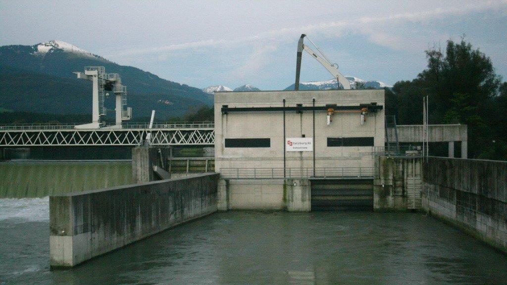 Bilder vom Fundort
