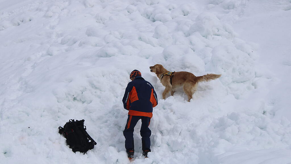 Lawinenhunde Bergrettung Training